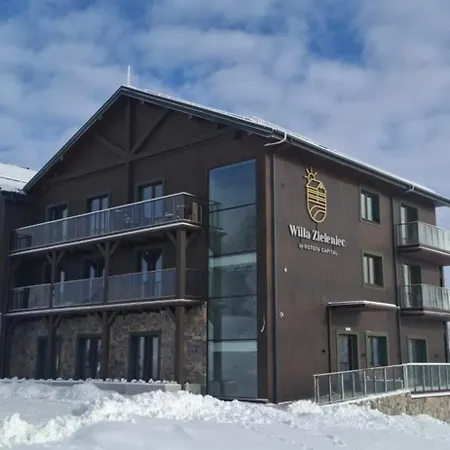 Willa Zieleniec, Apartament A9 - Piekny Widok, Basen, Strefa Wellness * Duszniki Zdrój