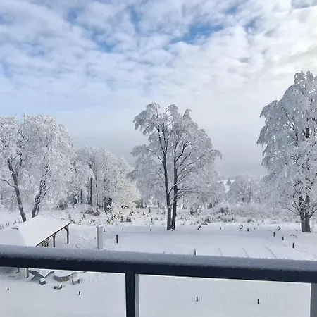 A9 - Zieleniec Apartment *