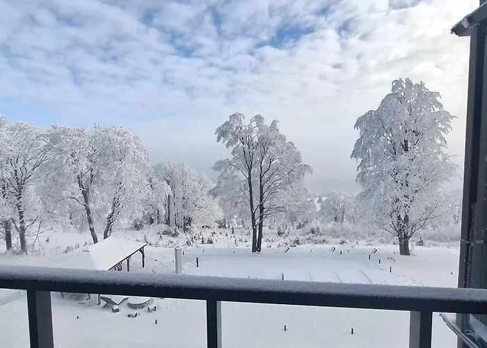 A9 - Zieleniec Appartement *